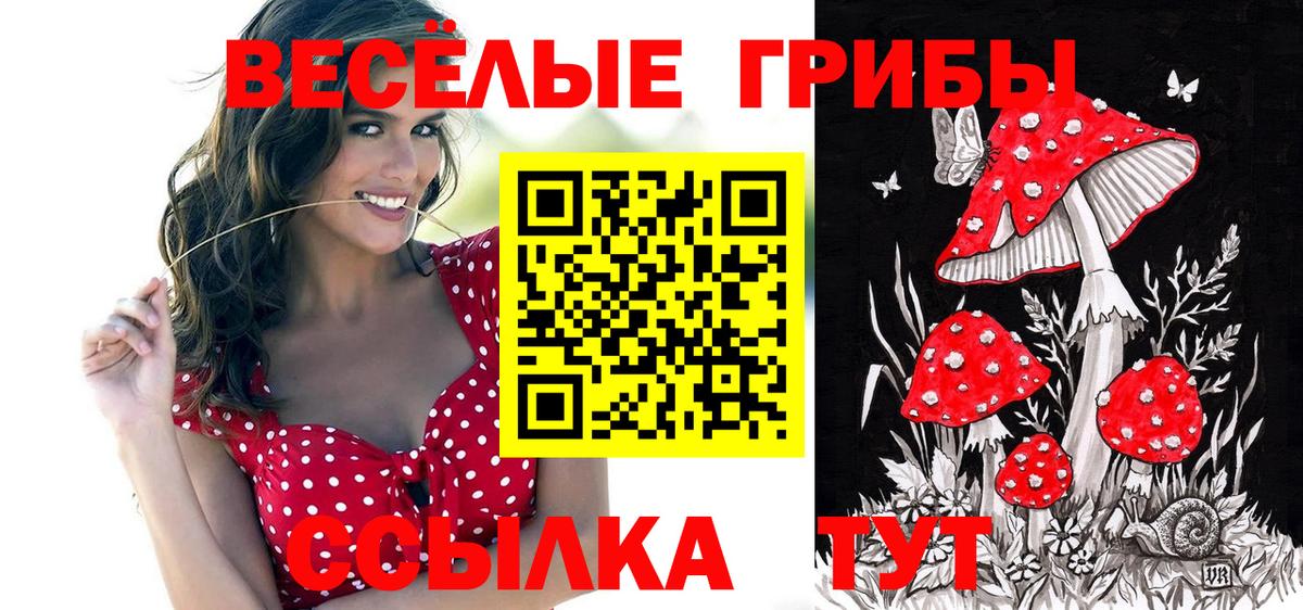 Псилоцибиновые грибы мицелий Вольск