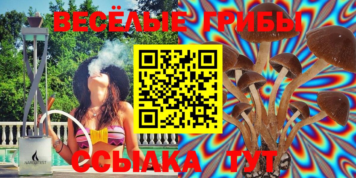Псилоцибиновые грибы MAGIC MUSHROOMS  Вход с VPN  Вольск 